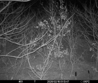 Feb 16 2026  1:13:46, #01