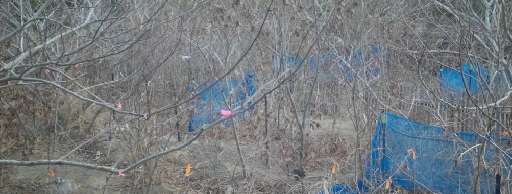 Feb 16 2026  7:13:47, #01