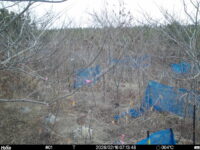 Feb 16 2026  7:13:47, #01