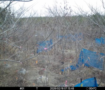 Feb 16 2026  7:13:47, #01