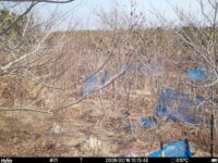 Feb 16 2026 10:13:48, #01