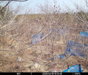 Feb 16 2026 10:13:48, #01