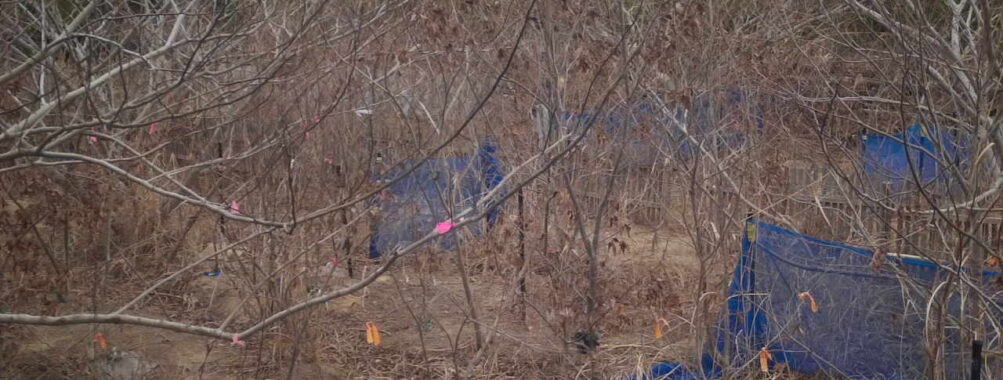 Feb 16 2026 13:13:47, #01