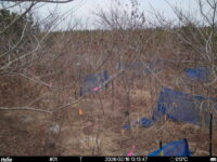 Feb 16 2026 13:13:47, #01