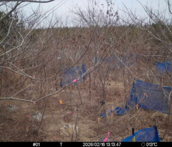 Feb 16 2026 13:13:47, #01