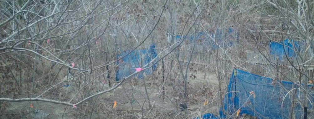 Feb 16 2026 16:13:47, #01