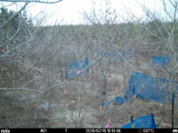 Feb 16 2026 16:13:47, #01