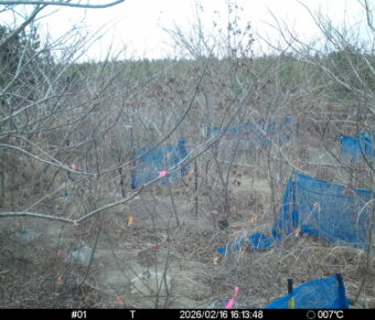 Feb 16 2026 16:13:47, #01