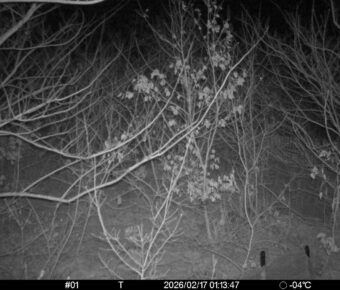 Feb 17 2026  1:13:47, #01