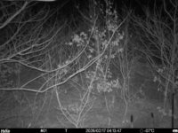 Feb 17 2026  4:13:46, #01