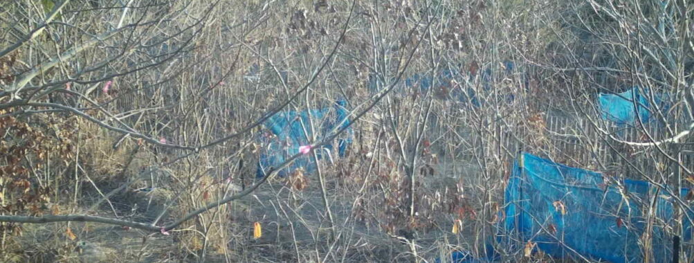 Feb 17 2026  7:13:48, #01