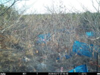 Feb 17 2026  7:13:48, #01