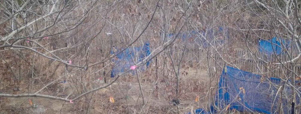 Feb 17 2026 10:13:47, #01