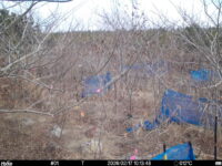 Feb 17 2026 10:13:47, #01