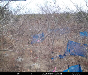 Feb 17 2026 10:13:47, #01