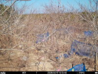 Feb 17 2026 13:13:48, #01