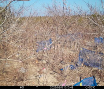 Feb 17 2026 13:13:48, #01