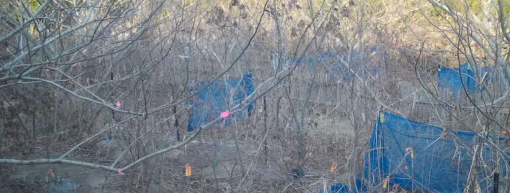 Feb 17 2026 16:13:48, #01