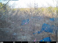 Feb 17 2026 16:13:48, #01