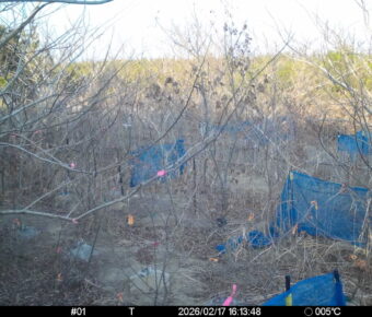 Feb 17 2026 16:13:48, #01