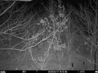 Feb 17 2026 19:13:48, #01