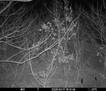 Feb 17 2026 19:13:48, #01