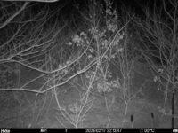 Feb 17 2026 22:13:46, #01