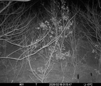 Feb 18 2026  1:13:47, #01