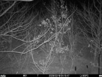 Feb 18 2026  4:13:47, #01