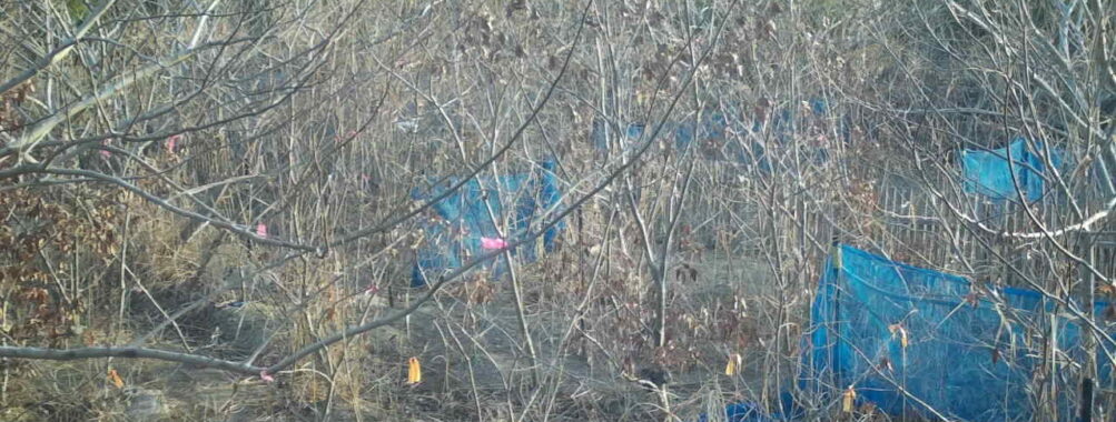 Feb 18 2026  7:13:48, #01