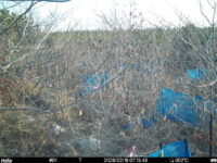 Feb 18 2026  7:13:48, #01