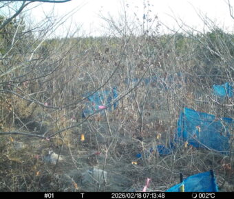 Feb 18 2026  7:13:48, #01