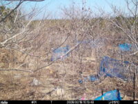 Feb 18 2026 10:13:48, #01