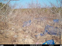 Feb 18 2026 13:13:47, #01