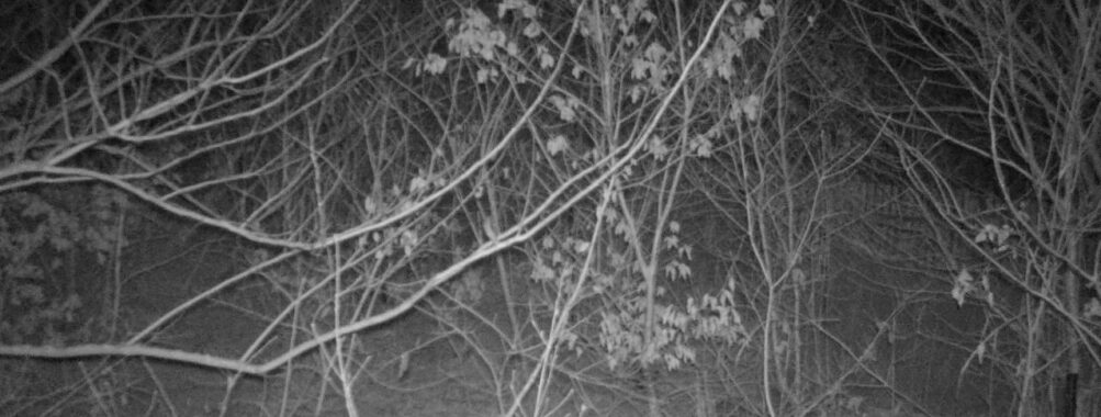 Feb 19 2026  1:13:46, #01