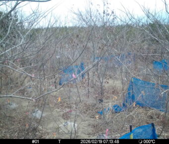 Feb 19 2026  7:13:48, #01