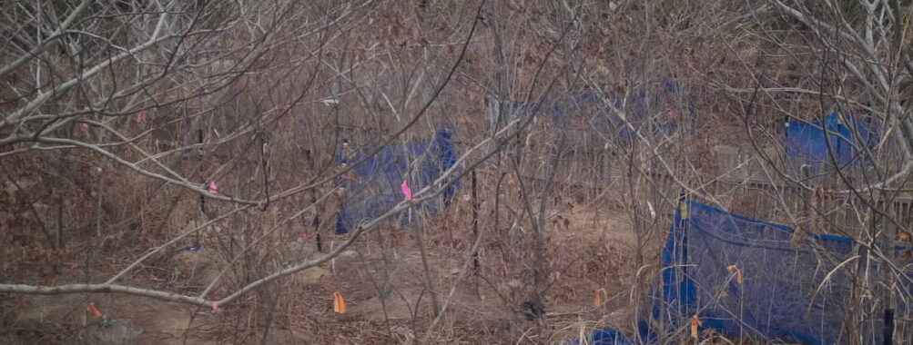 Feb 19 2026 13:13:47, #01