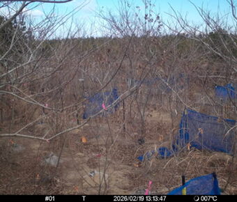 Feb 19 2026 13:13:47, #01