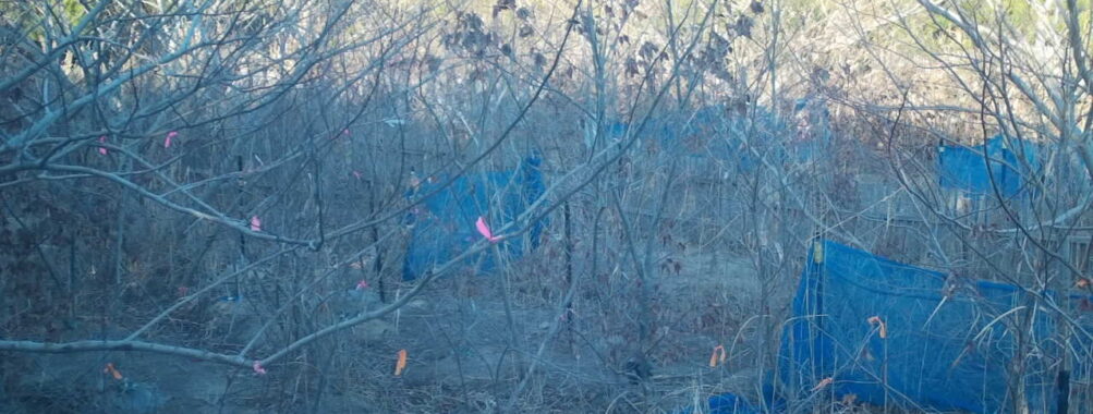 Feb 19 2026 16:13:48, #01