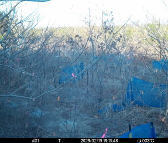 Feb 19 2026 16:13:48, #01