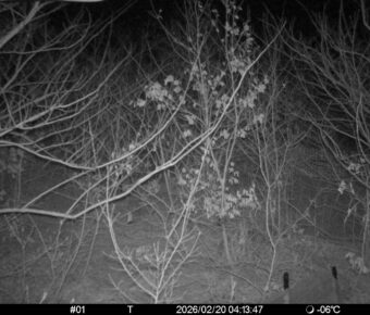 Feb 20 2026  4:13:46, #01