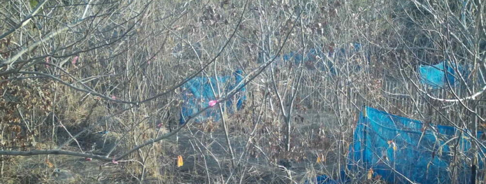 Feb 20 2026  7:13:48, #01