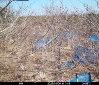 Feb 20 2026 10:13:47, #01