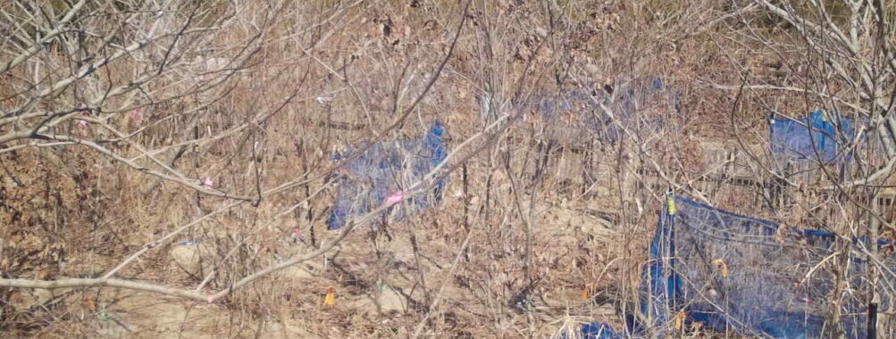 Feb 20 2026 13:13:48, #01