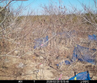 Feb 20 2026 13:13:48, #01