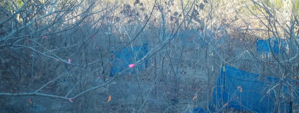 Feb 20 2026 16:13:48, #01