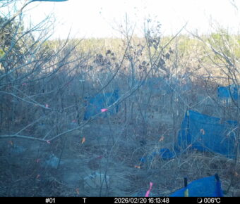 Feb 20 2026 16:13:48, #01