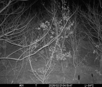 Feb 21 2026  4:13:47, #01