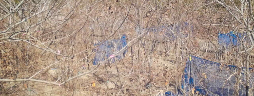 Feb 21 2026 13:13:47, #01