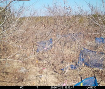 Feb 21 2026 13:13:47, #01